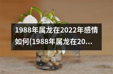 1988年属龙在2025年感情如何(1988年属龙在2025年的运势)