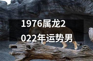 1976属龙2025年运势男