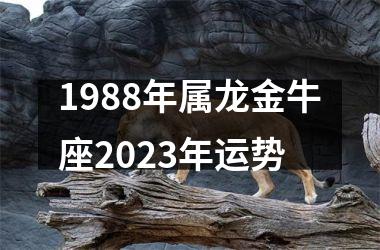 1988年属龙金牛座2023年运势