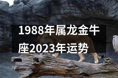 1988年属龙金牛座2025年运势