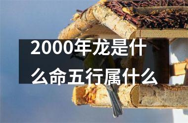 2000年龙是什么命五行属什么