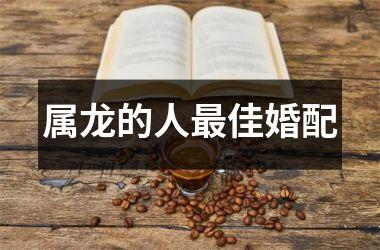 属龙的人最佳婚配