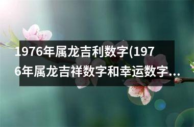 1976年属龙吉利数字(1976年属龙吉祥数字和幸运数字)