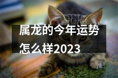 属龙的今年运势怎么样2023