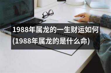1988年属龙的一生财运如何(1988年属龙的是什么命)