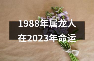 1988年属龙人在2023年命运