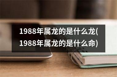 1988年属龙的是什么龙(1988年属龙的是什么命)