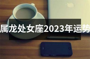 <h3>属龙处女座2025年运势