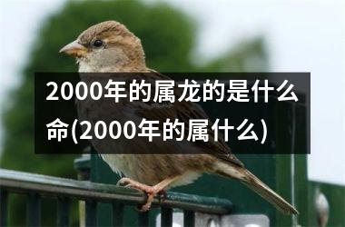 2000年的属龙的是什么命(2000年的属什么)