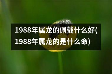 1988年属龙的佩戴什么好(1988年属龙的是什么命)