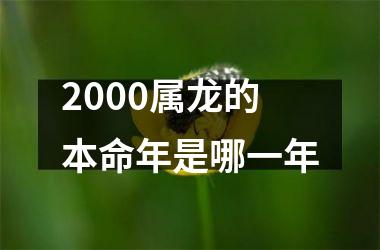 <h3>2000属龙的本命年是哪一年