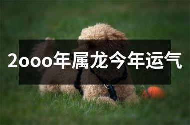 <h3>2ooo年属龙今年运气