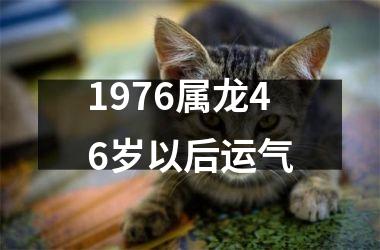 1976属龙46岁以后运气