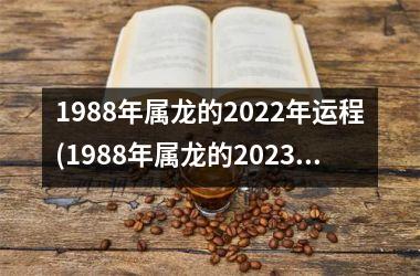 1988年属龙的2022年运程(1988年属龙的2023年运势)