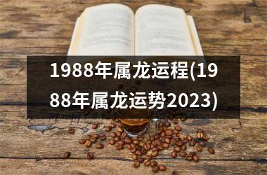 1988年属龙运程(1988年属龙运势2025)