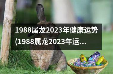 1988属龙2025年健康运势(1988属龙2025年运势及运程每月运程)