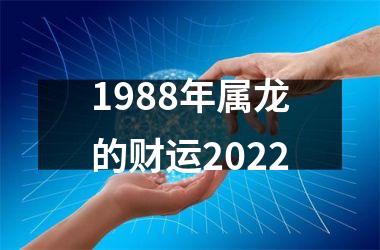 1988年属龙的财运2025