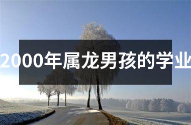 <h3>2000年属龙男孩的学业