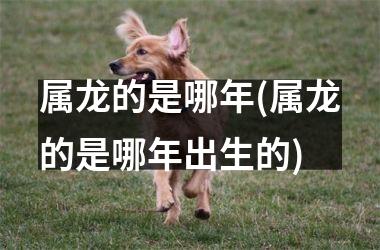 属龙的是哪年(属龙的是哪年出生的)