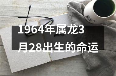 <h3>1964年属龙3月28出生的命运