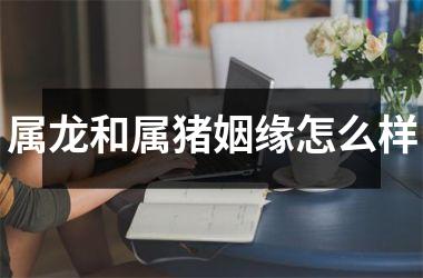 属龙和属猪姻缘怎么样