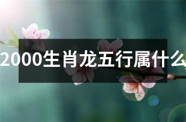 2000生肖龙五行属什么