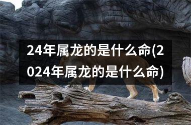 24年属龙的是什么命(2024年属龙的是什么命)