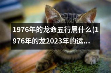 1976年的龙命五行属什么(1976年的龙2025年的运势)