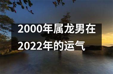 2000年属龙男在2022年的运气