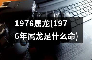 1976属龙(1976年属龙是什么命)