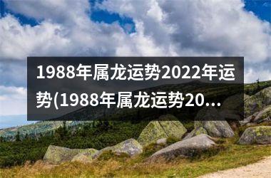 1988年属龙运势2022年运势(1988年属龙运势2023)