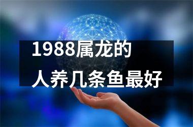 1988属龙的人养几条鱼最好