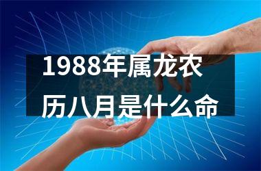 1988年属龙农历八月是什么命