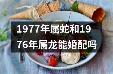 1977年属蛇和1976年属龙能婚配吗
