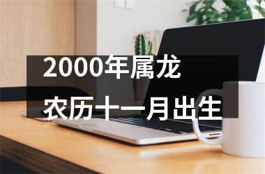 <h3>2000年属龙农历十一月出生