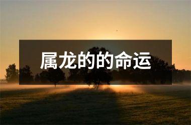 属龙的的命运
