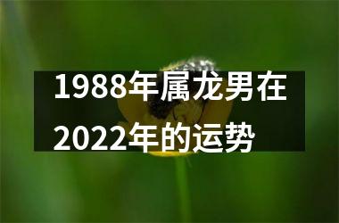 1988年属龙男在2022年的运势