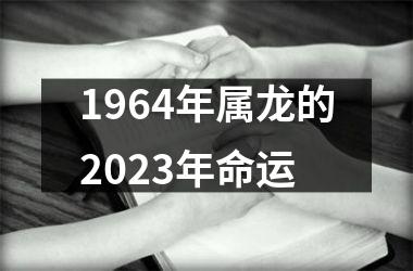 1964年属龙的2025年命运