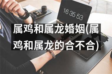属鸡和属龙婚姻(属鸡和属龙的合不合)