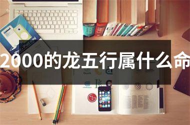 2000的龙五行属什么命
