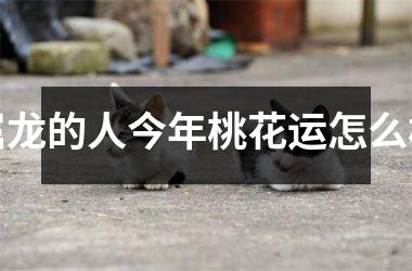 属龙的人今年桃花运怎么样