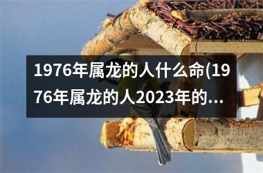 1976年属龙的人什么命(1976年属龙的人2025年的运势及运程)