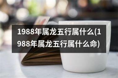 1988年属龙五行属什么(1988年属龙五行属什么命)