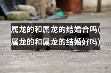 属龙的和属龙的结婚合吗(属龙的和属龙的结婚好吗)