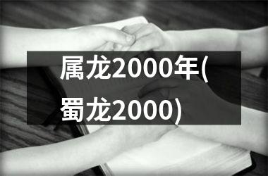 属龙2000年(蜀龙2000)