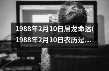 1988年2月10日属龙命运(1988年2月10日农历是多少)