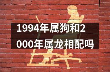 1994年属狗和2000年属龙相配吗