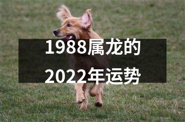 1988属龙的2025年运势