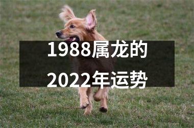 1988属龙的2022年运势