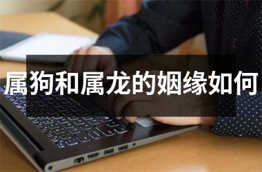 属狗和属龙的姻缘如何